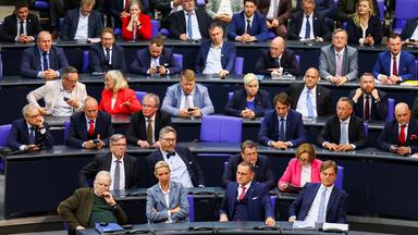 Rufe nach AfD-Verbot werden lauter