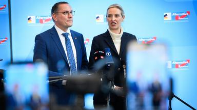 Warum die AfD "gesichert rechtsextremistisch" ist