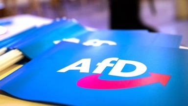 AfD reicht Klage gegen Verfassungsschutz ein