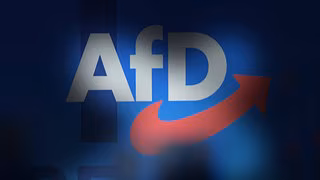 AfD klagt gegen Einstufung als rechtsextrem