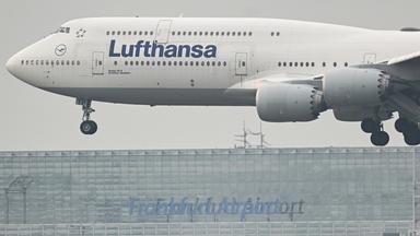Trumps Politik trifft auch die Lufthansa