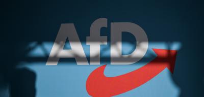 AfD in Baden-Württemberg erstmals vor den Grünen – aber eine Partei gewinnt noch mehr