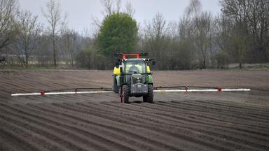Wie geht es weiter mit Glyphosat?