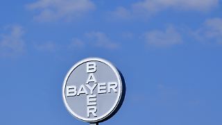 Pharmasparte rettet Bayer den Jahresauftakt - Anleger erleichtert