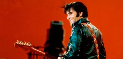Elvis, seine Stimme und ich