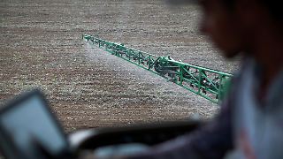 Bayer erwägt Insolvenz für Monsanto, um Glyphosat-Kläger loszuwerden
