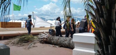 Cannes, Chaos, Katharsis