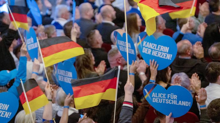 Reicht das für ein AfD-Verbot?
