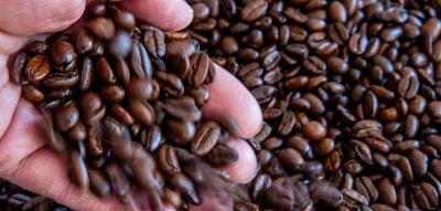 Preisschock für Verbraucher – Kaffeepreise in Deutschland steigen deutlich an