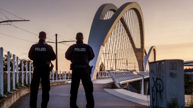 Korkenknallen oder Katzenjammer? 