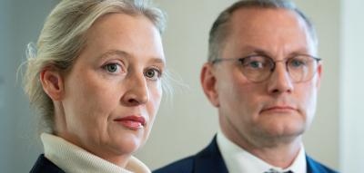 SPD fordert Bund-Länder-Gruppe zur Prüfung von AfD-Verbot auf – und schwenkt auf Grünen-Linie ein