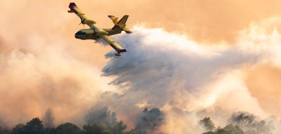 Waldbrände an Kroatiens Adria – Touristen fliehen