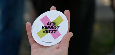 Grüne fordern Sonder-Innenministerkonferenz zum AfD-Verbot