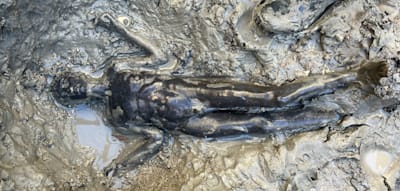 Sie lagen 2000 Jahre im Schlammbad für die Götter