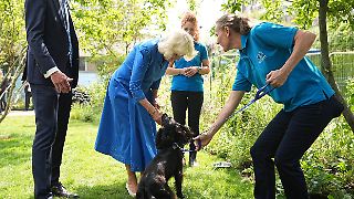 Königin Camilla eröffnet einen "Hundegarten"