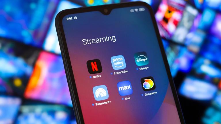"US-Streamingdienste bedrohen Meinungsvielfalt"