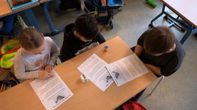 "Würfellesen" statt Migrationsquote
