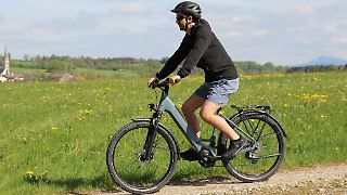 Kalkhoff Entice L Season - Einsteigerrad auf hohem Niveau