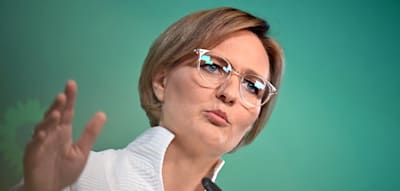 „Nicht bereit, Verantwortung im Bund zu übernehmen“ – Grünen-Chefin distanziert sich von Linken
