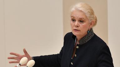 Plagiatsvorwürfe gegen CDU-Abgeordnete Ludwig