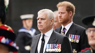 Prinz Harry will Prinz Andrew nicht geschlagen haben