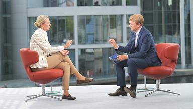 Was an den Aussagen von Weidel nicht stimmt
