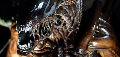 „Giger, du siehst mehr als wir domestizierten Primaten“ – „Alien“ geht in Serie