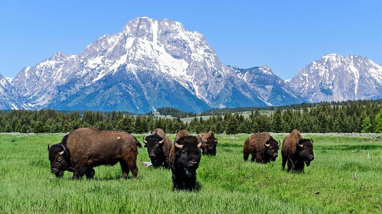Worüber in Jackson Hole gesprochen wird