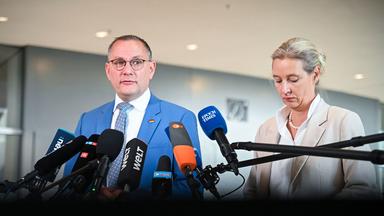AfD geht weiter gegen Verdachtsfall-Einstufung vor