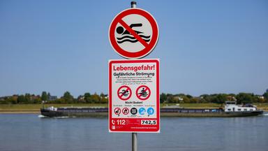 Warum vier Städte ein Badeverbot im Rhein verhängen