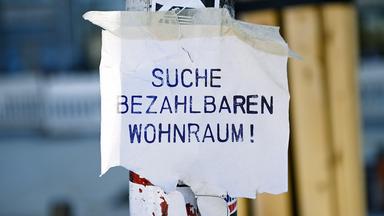 Jeder kämpft für sich allein