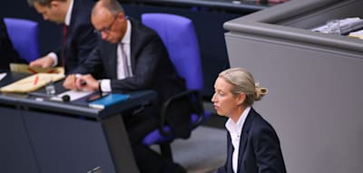 AfD bleibt vor Union – Linke überholt Grüne erstmals seit acht Jahren