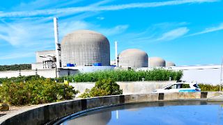Quallen stören Betrieb von französischem Atomkraftwerk