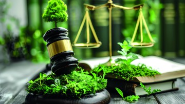 Studie zum Autokauf: Komfort und Preis wichtiger als Klimaschutz