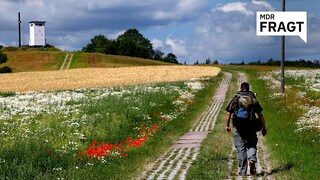 Neue Befragung zu 35 Jahren Deutsche Einheit