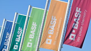 BASF kann Lack-Geschäft wohl an Investor losschlagen