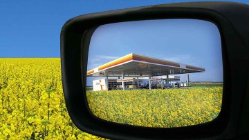Biosprit: Entwaldung trübt Klimabilanz