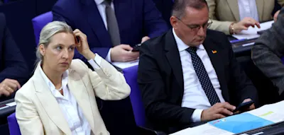 Texte von Alice Weidel „geklaut“? AfD-Chefin erhebt Plagiatsvorwürfe