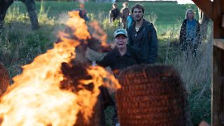 Fuchs, du hast den Kopf gestohlen ...