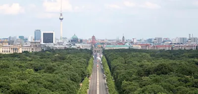 „Absoluter Witz“ – Berlin will Milliarden Euro aus Sondervermögen für mehr Bäume verwenden