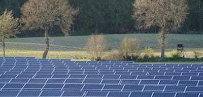 Sachsen-CDU will Abholzung von Waldfl&auml;chen f&uuml;r Solaranlagen bundesweit verbieten