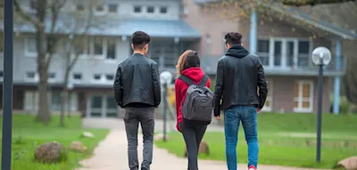 Rund 6000 Syrer beantragten bis Ende 2025 Unterst&uuml;tzung f&uuml;r Ausreise