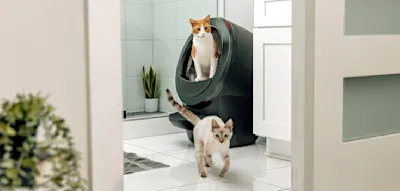 Ein Toilettenroboter f&uuml;r den Kater &ndash; kann das funktionieren?