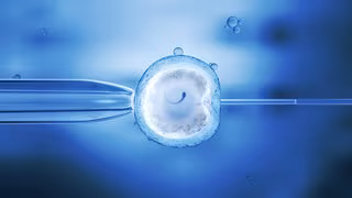 Gesundheitsministerin Warken will Eizellspende teilweise legalisieren