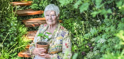 Liebe Judi Dench, Sie sind ein Wunder an Witz, Kraft und G&uuml;te