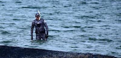 Was der Buckelwal und die SPD gemeinsam haben