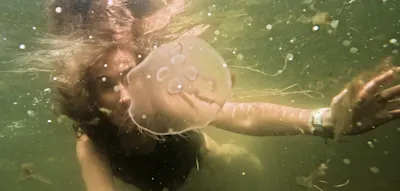 &bdquo;Die Entdeckung der Walsprache hat den Walen das Leben gerettet&ldquo;