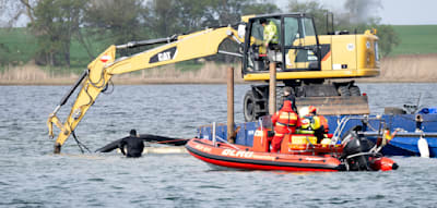 Wal nimmt Rettung laut Biologe mit &bdquo;Verwunderung und Angst wahr&ldquo; ++ Landwirt berichtet von &bdquo;Terror&ldquo;
