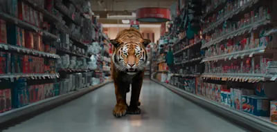 Was man beim Gallery Weekend Berlin sehen sollte