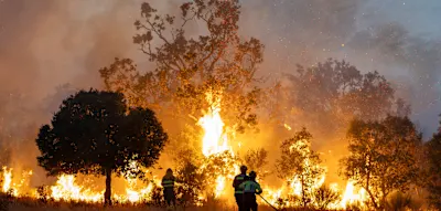 Das Kino f&auml;ngt wieder Feuer &ndash; jetzt mit Waldbr&auml;nden